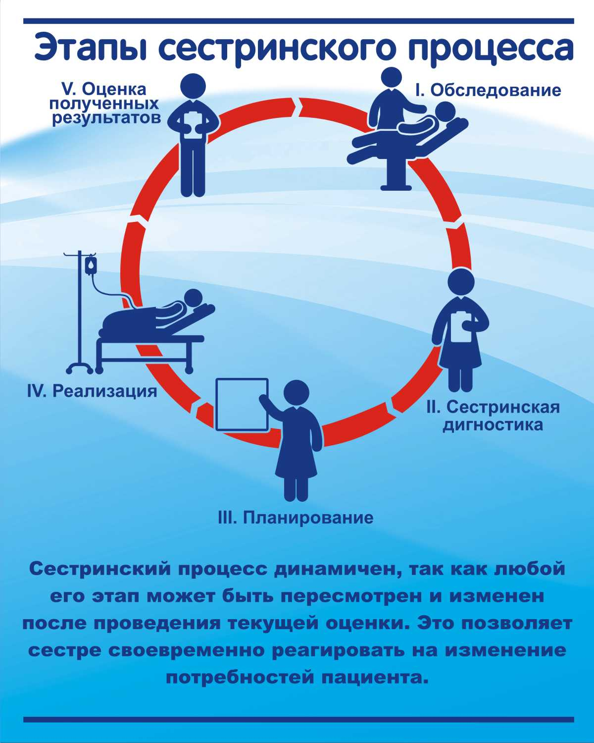 Стенды на стену Этапы сестринского процесса для кабинета купить в  Архангельске